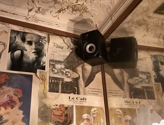 Mesure de bruit restaurant Lyon sonomètre